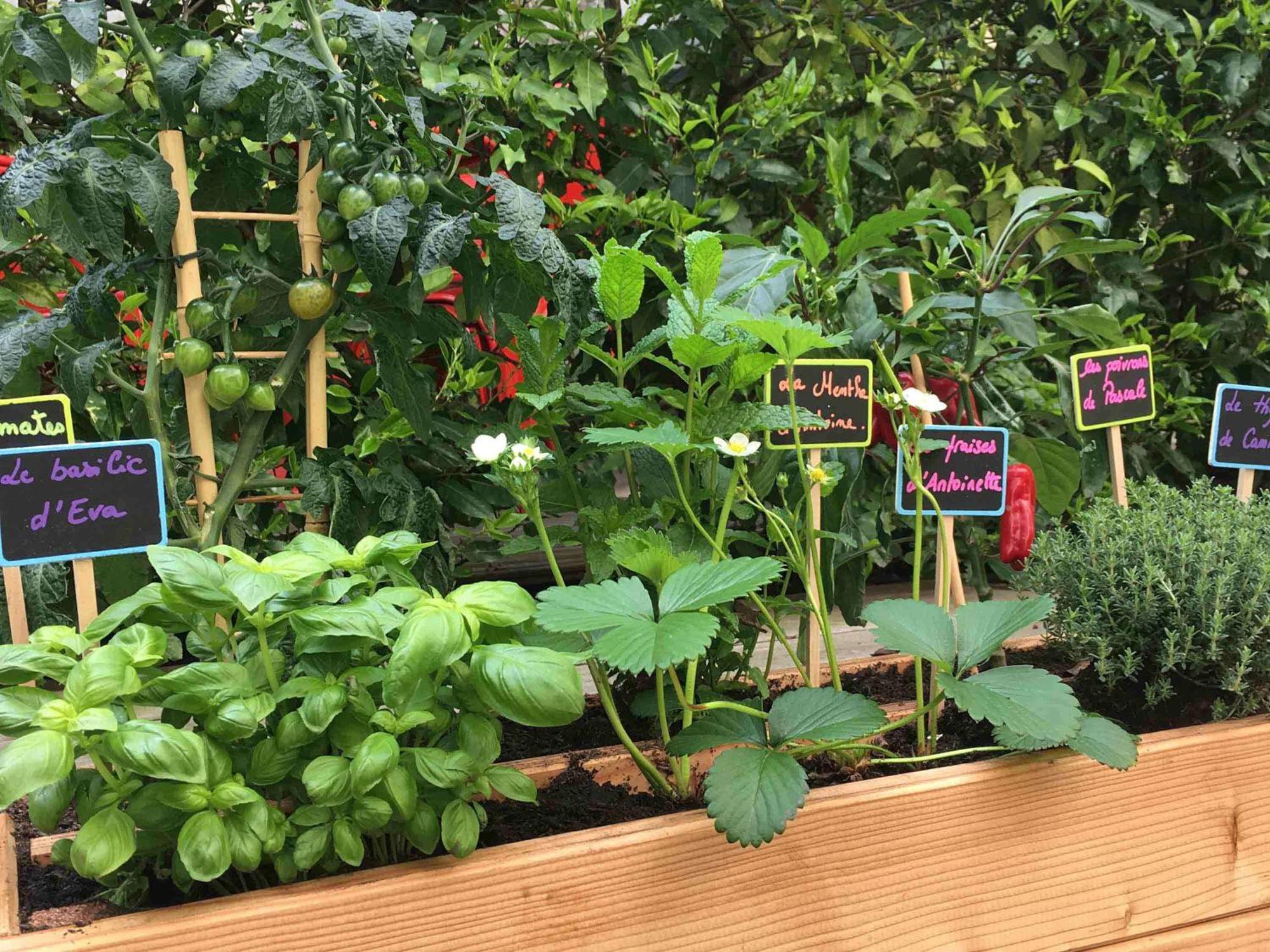 Ibis Gare Du Nord La Fayette Hotel 3*